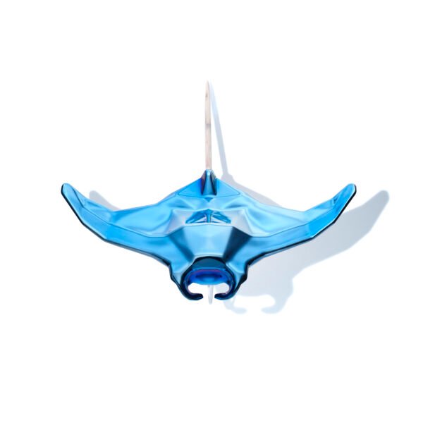 Manta Blau_3 Ocean Collection - Manta