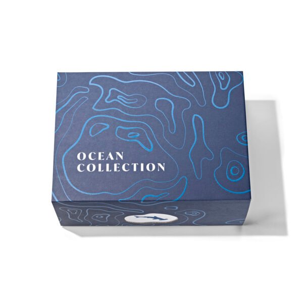 Ocean Collection Webshop Bilder189576 Ocean Collection - Hammerhai